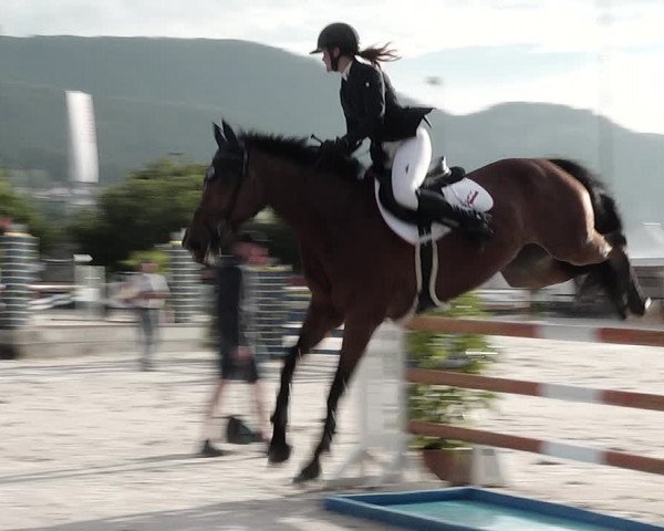 Reitturnier Balsthal 2021
