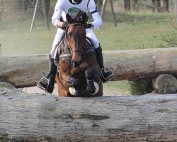 dressage horse Unessa 6 (Holsteiner, 2004, from Cambridge)