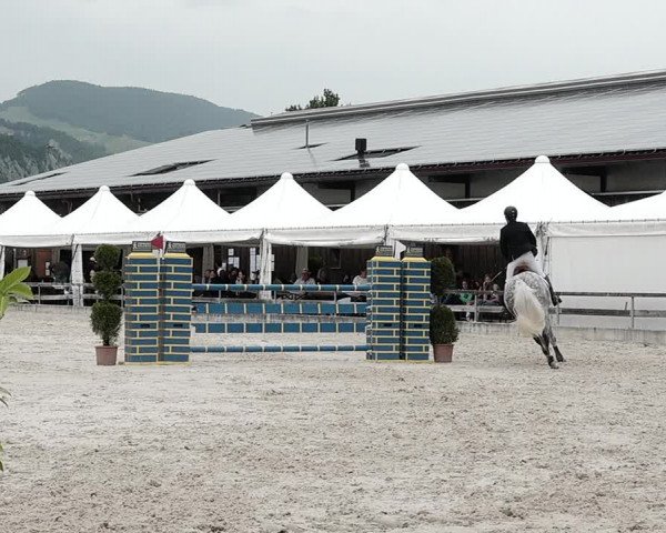 Reitturnier Balsthal 2021