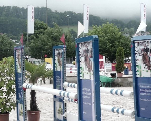 Reitturnier Balsthal 2021