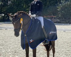 dressage horse Secret's Sirina Ms (Hanoverian, 2018, from Secret)