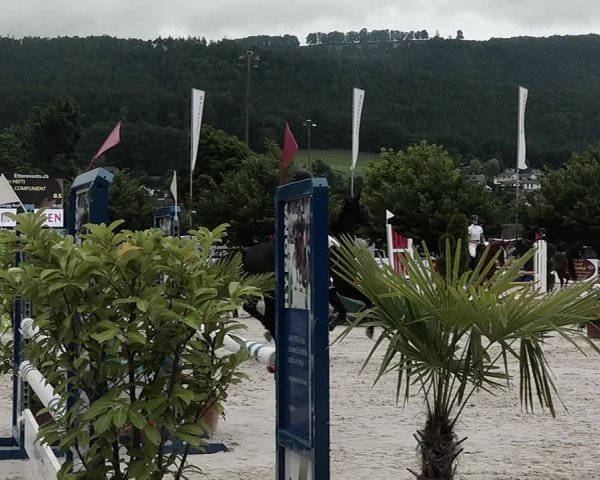 Reitturnier Balsthal 2021