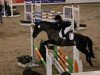 jumper Bonetti 8 (German Riding Pony, 1999, from Boris)