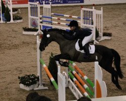 jumper Bonetti 8 (German Riding Pony, 1999, from Boris)