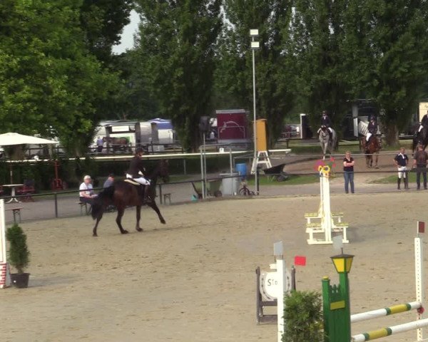 Reitturnier Hamm-Rhynern 2021