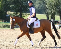 broodmare Dublina (German Riding Pony, 2009, from Night-Dream)