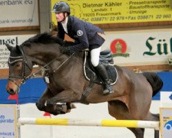 jumper Francescco (Hanoverian, 2005, from Federweisser)