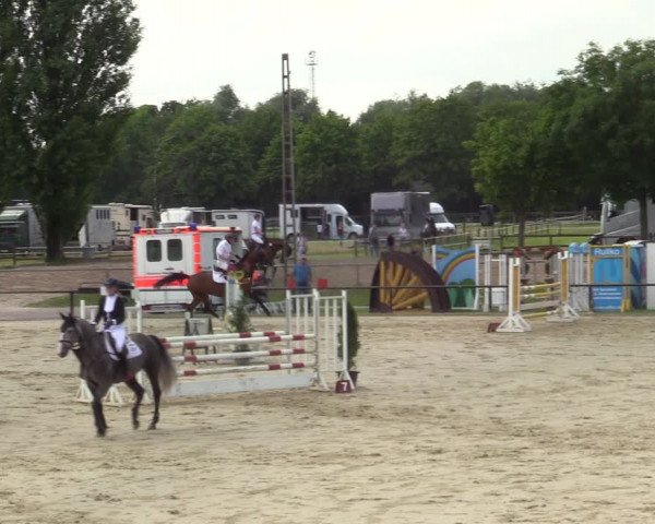 Reitturnier Hamm-Rhynern 2021