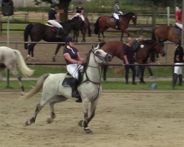 Reitturnier Hamm-Rhynern 2021