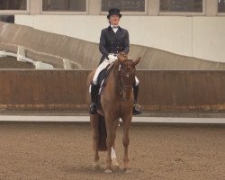 dressage horse Brunetti (Westphalian, 2005, from Belissimo NRW)