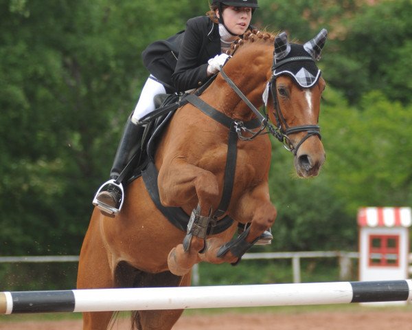 broodmare Red Rose (Zweibrücken, 1996, from Rosenzauber)