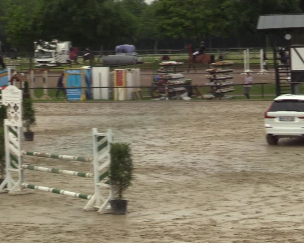 Reitturnier Hamm-Rhynern 2021