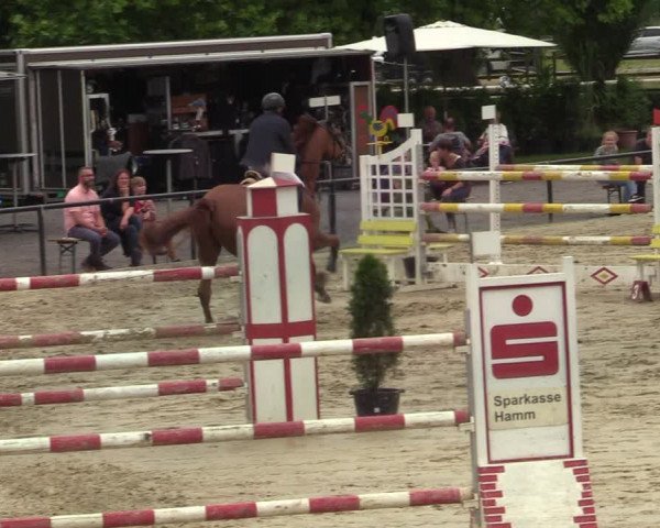 Reitturnier Hamm-Rhynern 2021