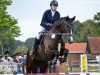 jumper Legitim H (German Warmblood, 2006, from Horse Gym’s Lianos)