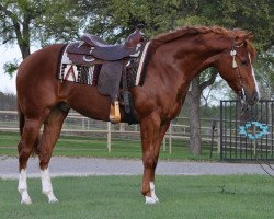 Pferd Dualin Leitachic (Quarter Horse, 2011, von Leitachic)