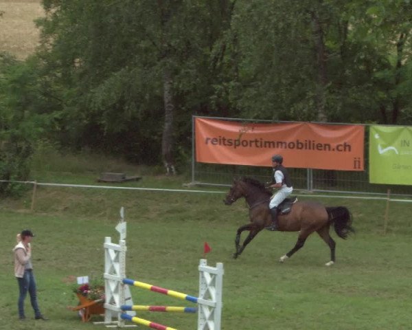 Reitturnier Eiken 2021