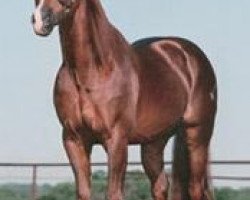 stallion Smart Aristocrat (Quarter Horse, 1991, from Smart Little Lena)