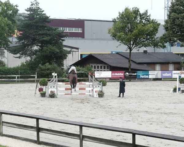 Reitturnier Dagmersellen 2021