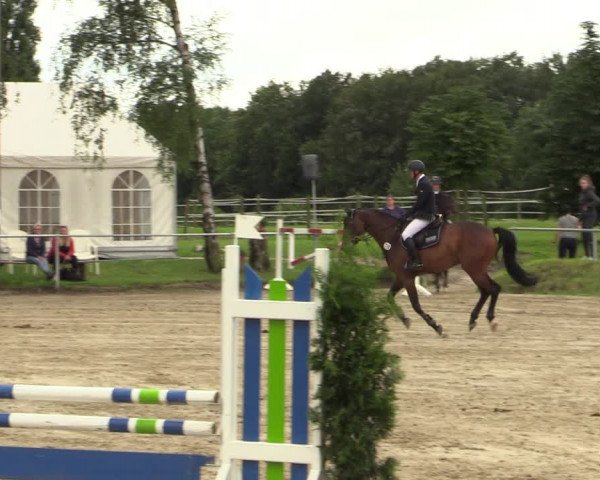 Reitturnier Herbern 2021
