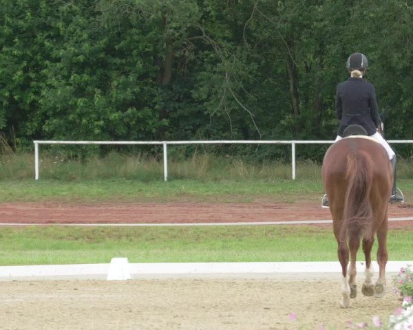 Reitturnier Heiligenwald 2021