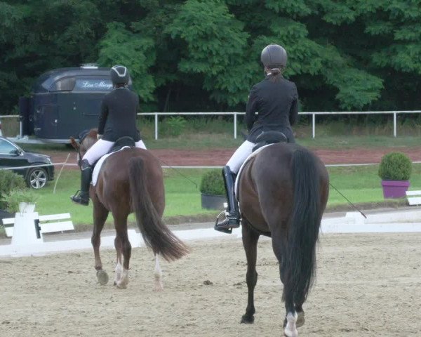 Reitturnier Heiligenwald 2021
