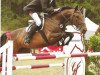 jumper Scarlett 613 (Hanoverian, 2007, from Stolzenberg)