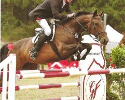 jumper Scarlett 613 (Hanoverian, 2007, from Stolzenberg)