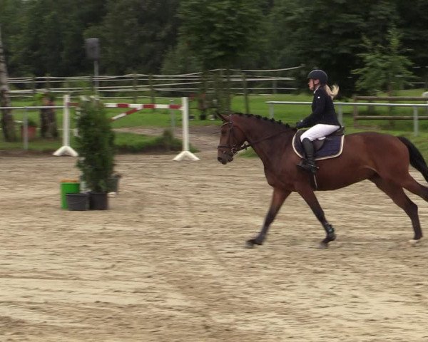 Reitturnier Herbern 2021