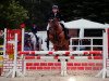 broodmare Sweet Fire (Oldenburg show jumper, 2002, from Stakkato)