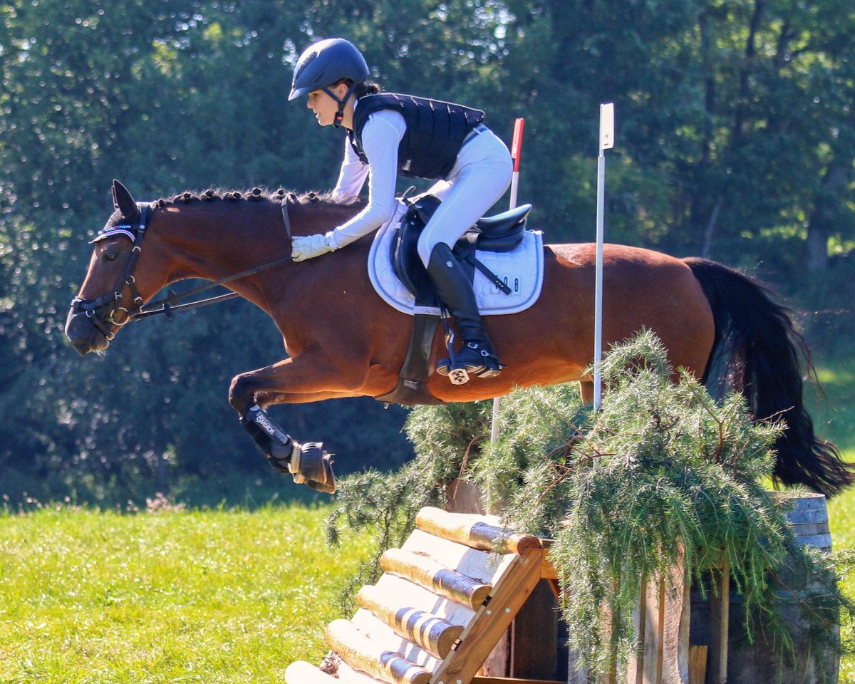 broodmare Triniti K (German Riding Pony, 2006, from Timberland)