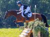 broodmare Triniti K (German Riding Pony, 2006, from Timberland)