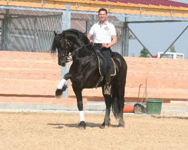 Pferd Dinand (Friese, 2009, von Doaitsen 420)
