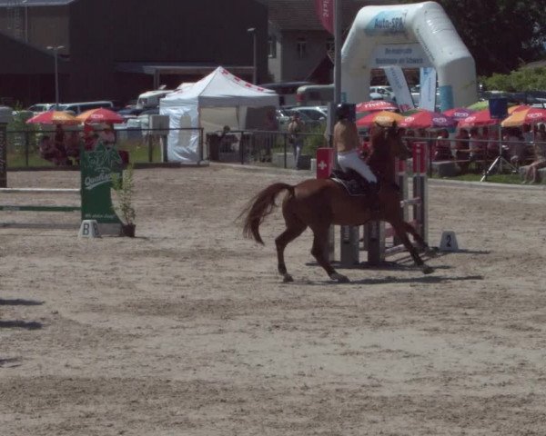 Reitturnier Gossau 2021