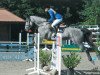 jumper Costa Rica 60 (Hanoverian, 2010, from Calido I)