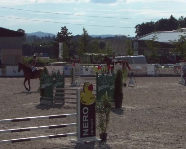 Reitturnier Gossau 2021