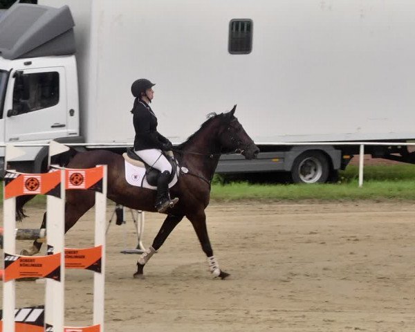 Reitturnier Heiligenwald 2021