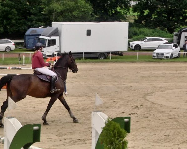 Reitturnier Heiligenwald 2021