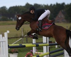 broodmare Langata Express (Hanoverian, 2006, from Langer Jan)