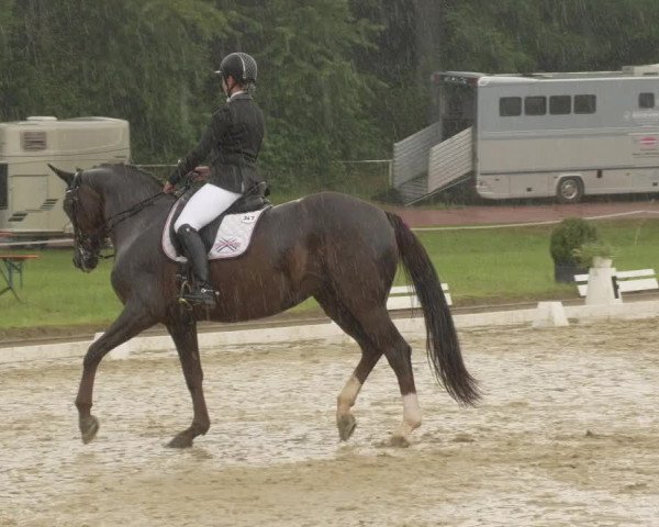 Reitturnier Heiligenwald 2021