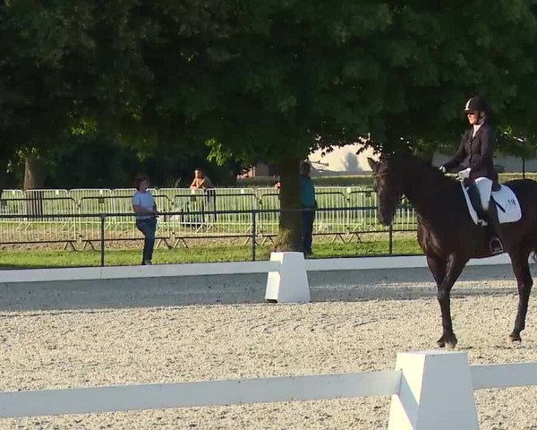 Reitturnier Rot am See- Musdorf 2021
