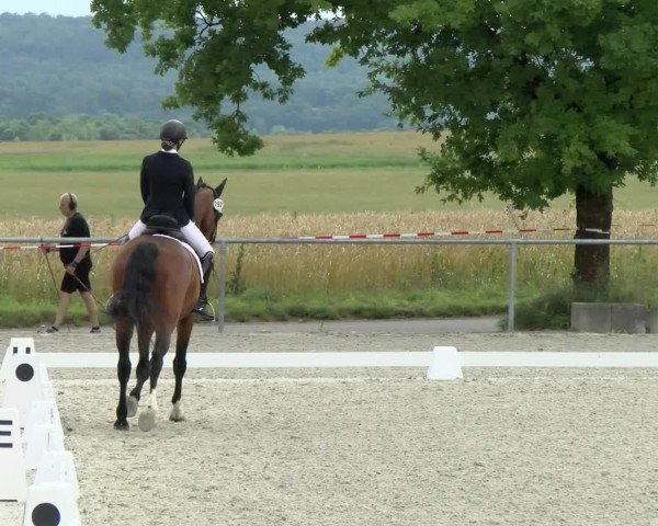 Reitturnier Ehningen 2021