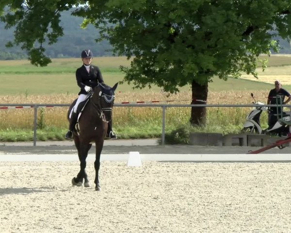 Reitturnier Ehningen 2021