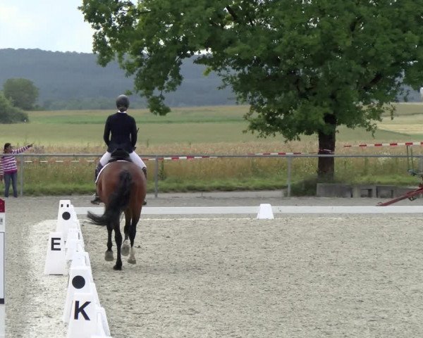 Reitturnier Ehningen 2021