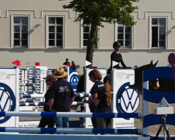 Reitturnier Neustadt/Dosse 2021