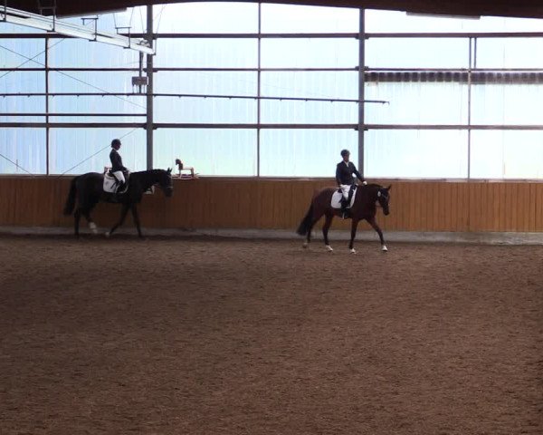 Reitturnier Herbern 2021