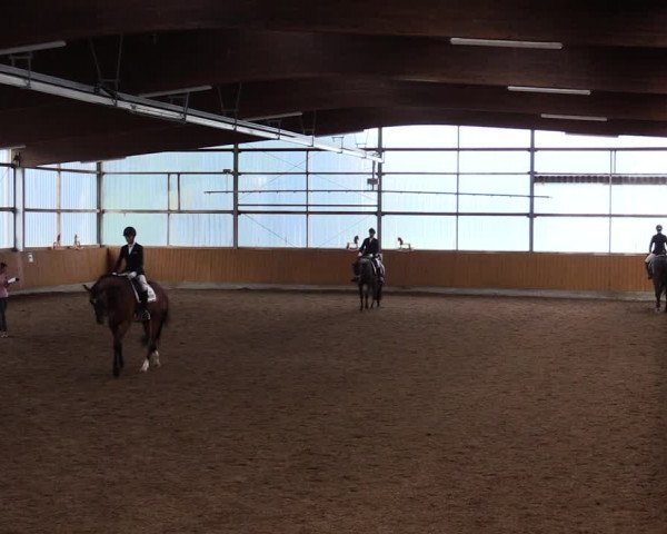 Reitturnier Herbern 2021