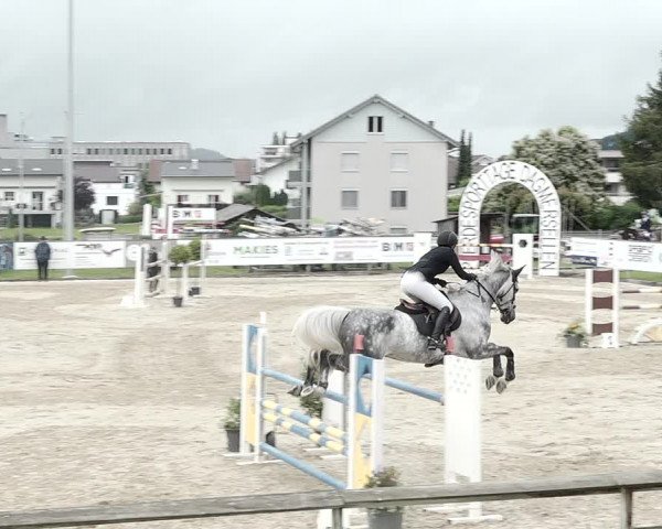 Reitturnier Dagmersellen 2021