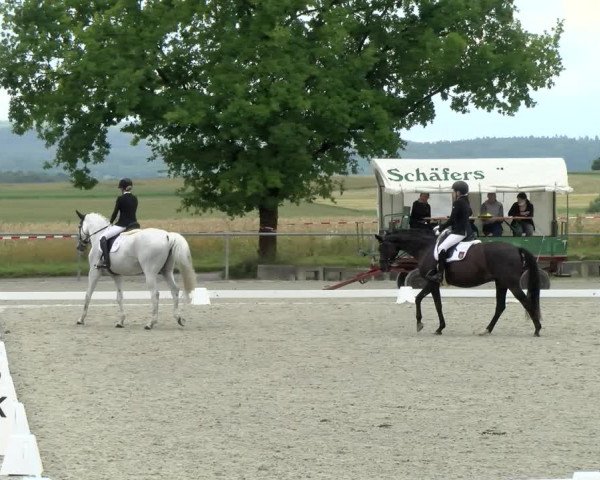 Reitturnier Ehningen 2021
