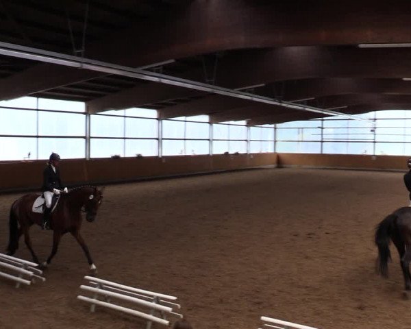 Reitturnier Herbern 2021