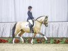 dressage horse Cinderella S (German Riding Pony, 2010, from FS Champion de Luxe)